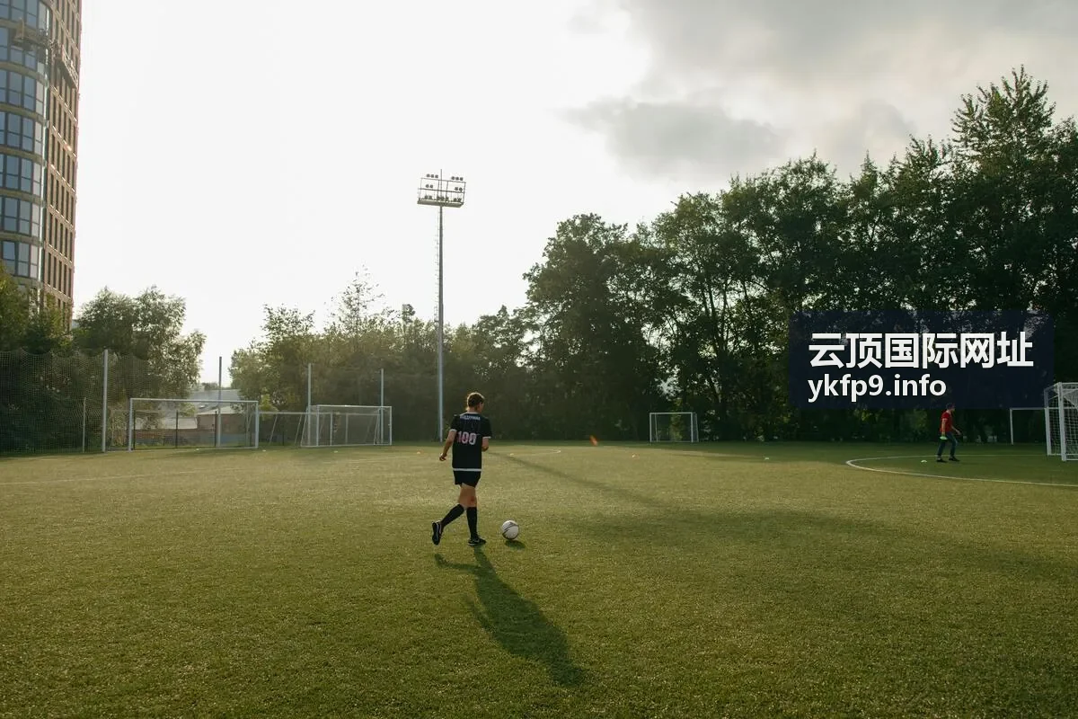雾城谜案 云顶国际网址热播片库